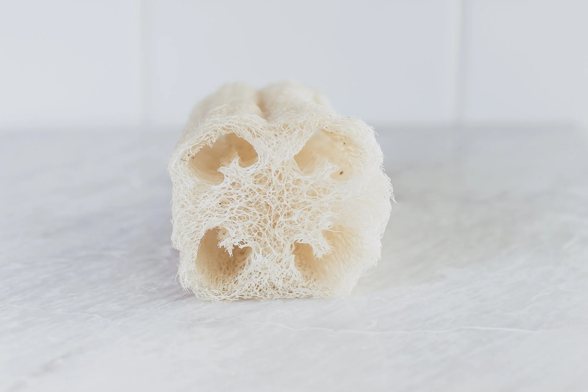 Natural Loofah Sponges (Set of 6) - Image 4