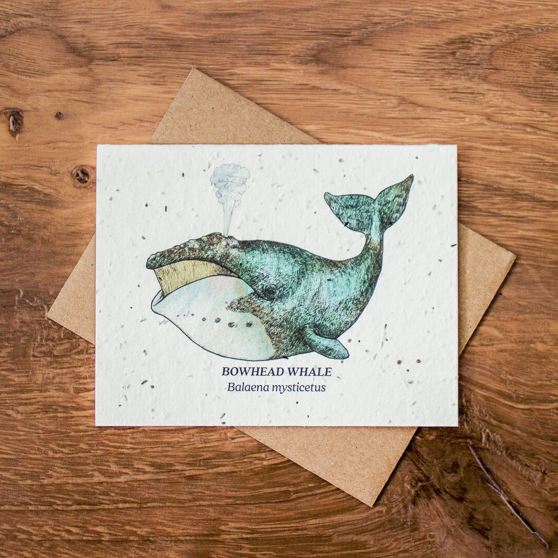 Plantable Seed Paper Greeting Cards (Earth) - Image 3