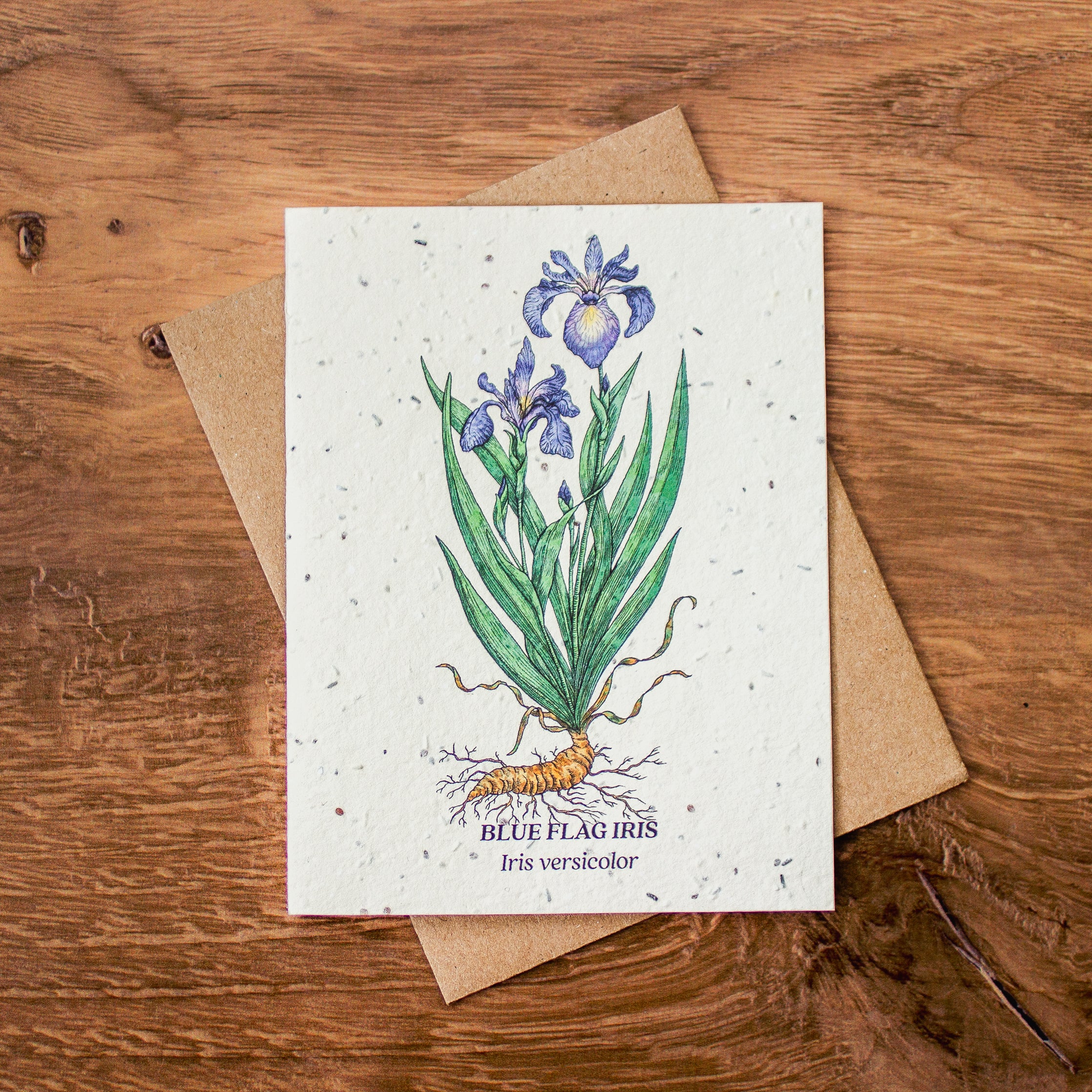 Plantable Seed Paper Greeting Cards (Earth) - Image 4